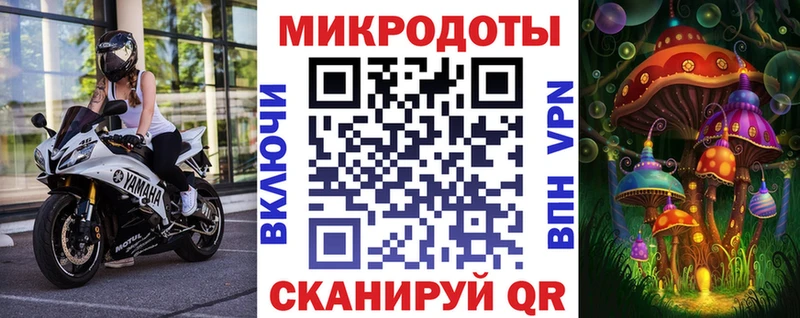хочу Злынка Галлюциногенные грибы MAGIC MUSHROOMS